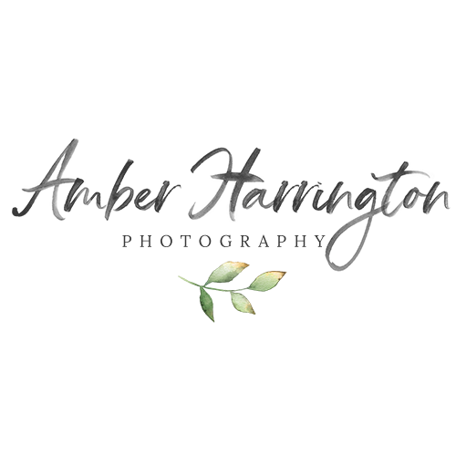 Home - Amber Harrington Photography