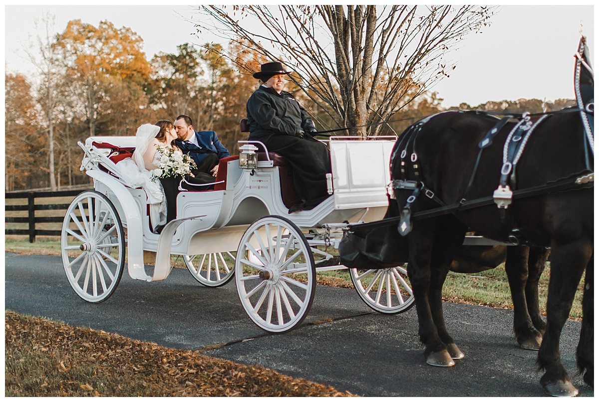 carriage ride shot by amber harrington photography