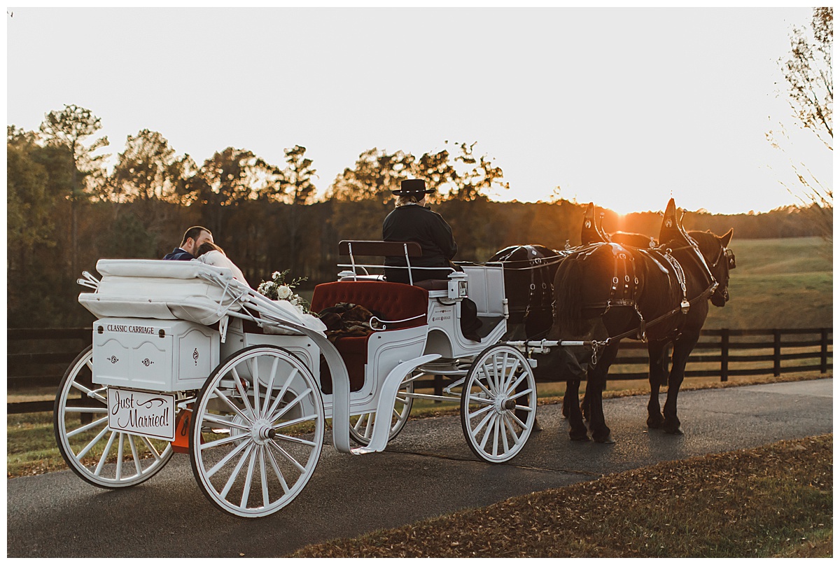 carriage ride shot by amber harrington photography
