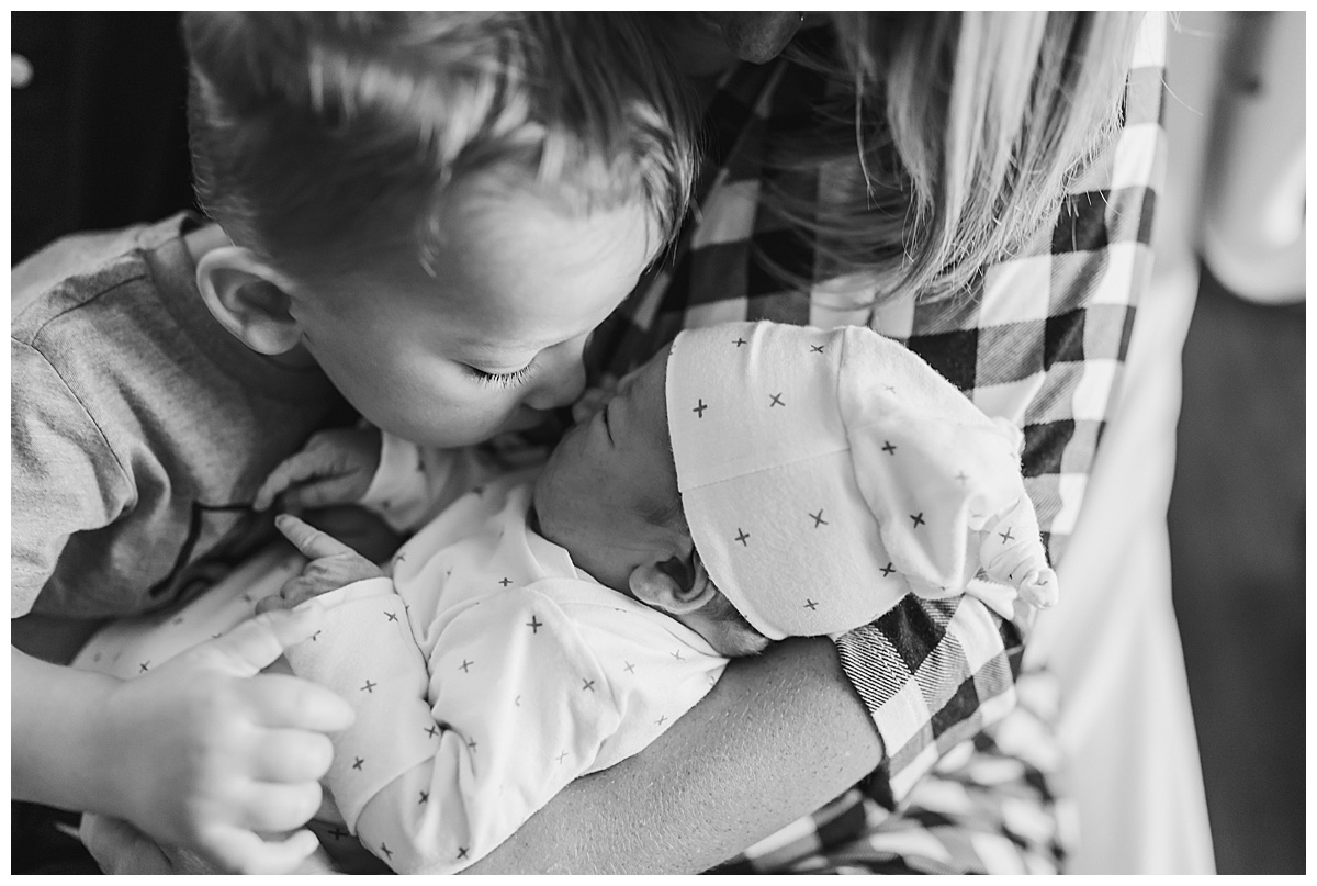 fredericksburg fresh 48 photographer newborn session amber harrington photography