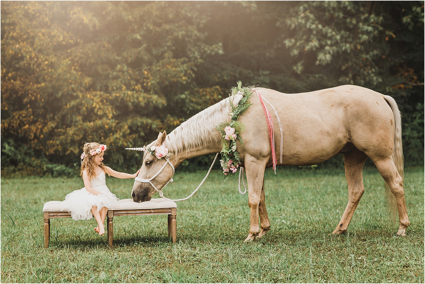 unicorn minis amber harrington photography Fredericksburg Virginia
