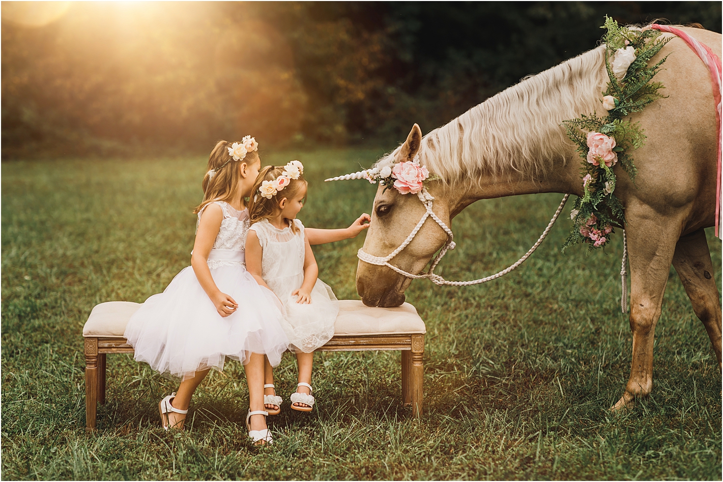 unicorn minis amber harrington photography Fredericksburg Virginia